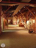 Guy Fanguy - Artist - Photographer - Guy Fanguy - Preserves - Louisiana - Thibodaux - Jean Lafitte National Historical Park (12).jpg Size: 70596 - 4